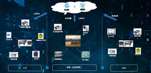 共建生態(tài)，智鏈未來(lái) 物聯(lián)網(wǎng)與區(qū)塊鏈聯(lián)合創(chuàng)新中心關(guān)鍵進(jìn)展發(fā)布